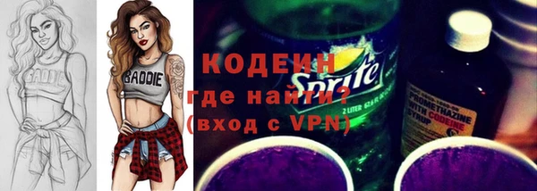 дживик Бородино