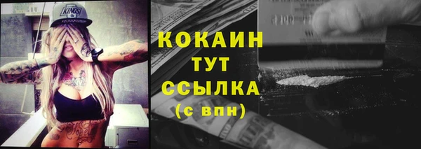 дживик Бородино
