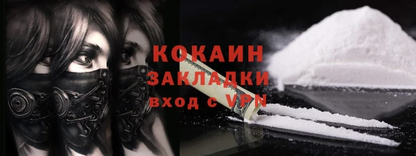 дживик Бородино