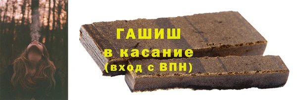 дживик Бородино