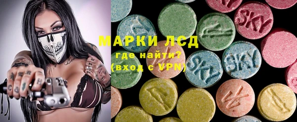дживик Бородино