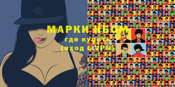 дживик Бородино