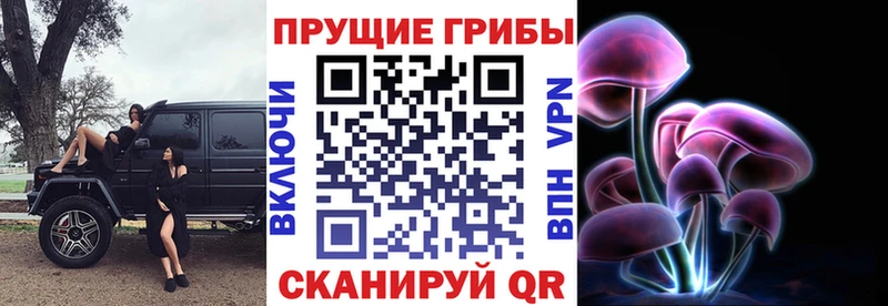 Галлюциногенные грибы Cubensis Подольск